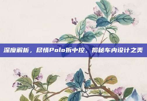 深度解析,尽情Polo拆中控,揭秘车内设计之美