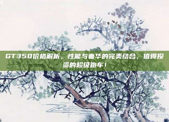 GT350价格解析，性能与奢华的完美结合，值得投资的超级跑车！