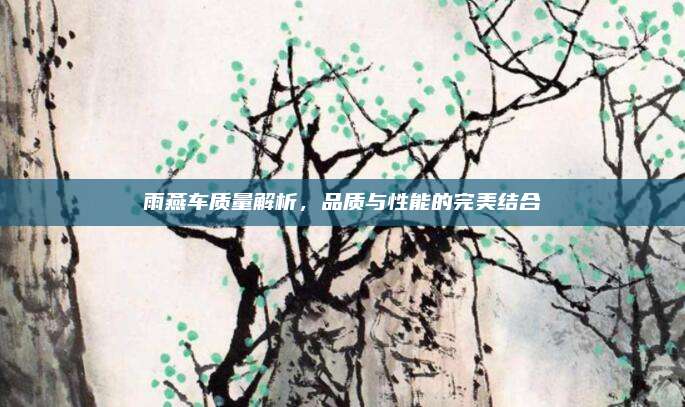 雨燕车质量解析，品质与性能的完美结合