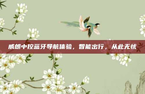 威朗中控蓝牙导航体验，智能出行，从此无忧
