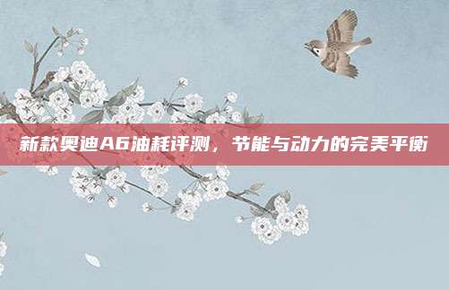 新款奥迪A6油耗评测，节能与动力的完美平衡