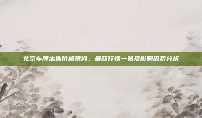 北京车牌出售价格查询，最新行情一览及影响因素分析