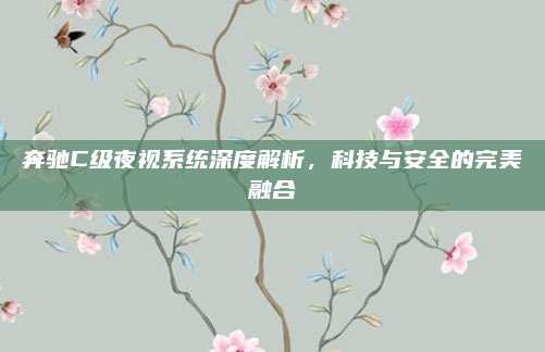 奔驰C级夜视系统深度解析，科技与安全的完美融合