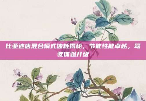 比亚迪唐混合模式油耗揭秘,节能性能卓越,驾驶体验升级