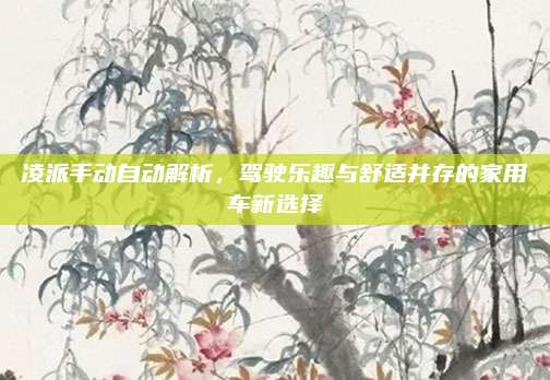 凌派手动自动解析，驾驶乐趣与舒适并存的家用车新选择