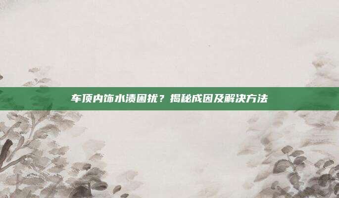 车顶内饰水渍困扰?揭秘成因及解决方法