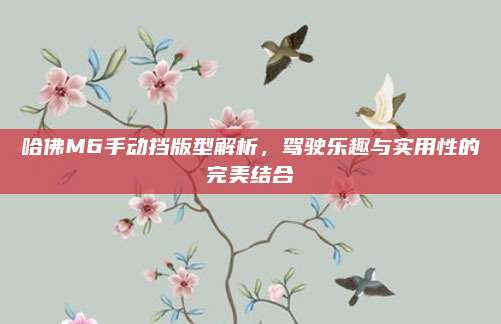 哈佛M6手动挡版型解析,驾驶乐趣与实用性的完美结合