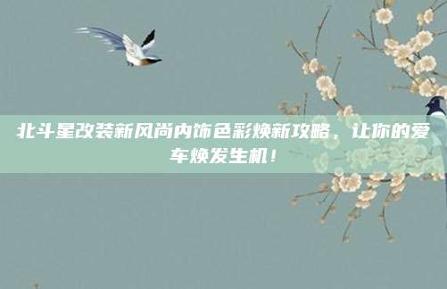 北斗星改装新风尚内饰色彩焕新攻略,让你的爱车焕发生机!