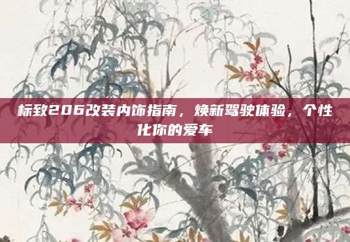 标致206改装内饰指南,焕新驾驶体验,个性化你的爱车