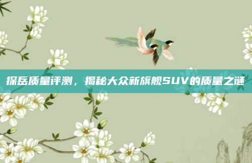 探岳质量评测,揭秘大众新旗舰SUV的质量之谜