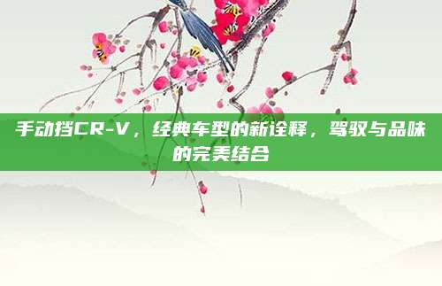 手动挡CR-V,经典车型的新诠释,驾驭与品味的完美结合