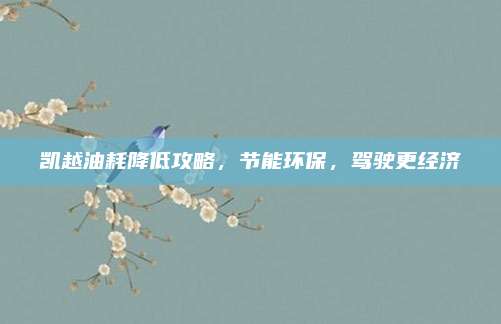 凯越油耗降低攻略，节能环保，驾驶更经济