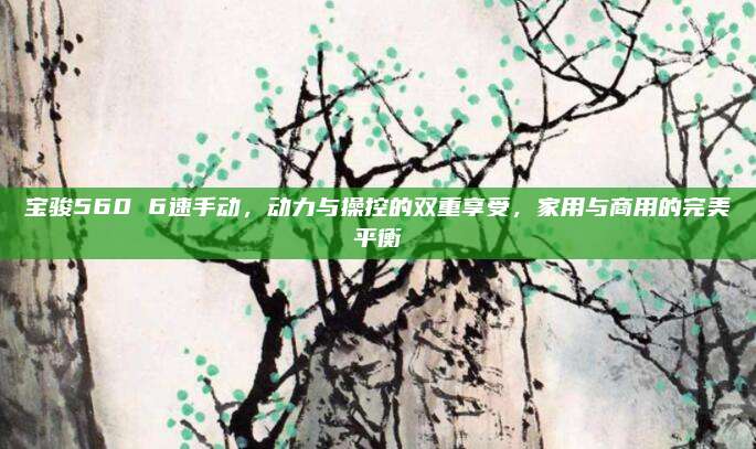 宝骏560 6速手动,动力与操控的双重享受,家用与商用的完美平衡
