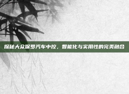 探秘大众保罗汽车中控,智能化与实用性的完美融合