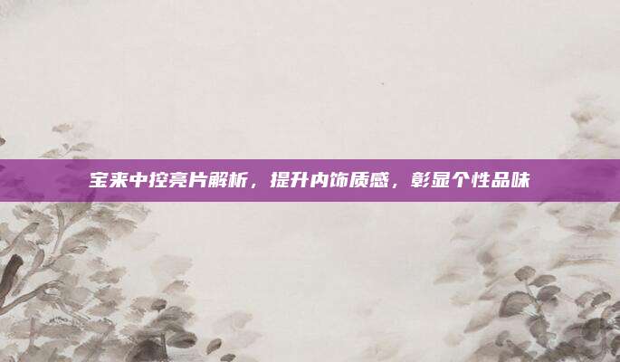 宝来中控亮片解析,提升内饰质感,彰显个性品味