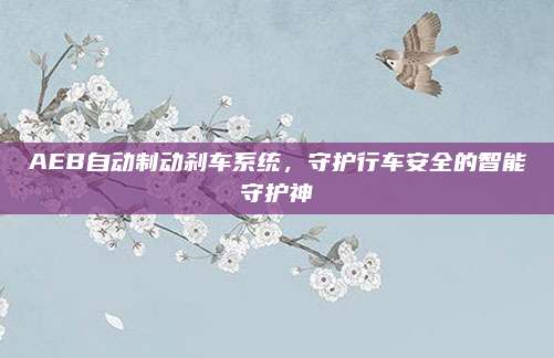 AEB自动制动刹车系统，守护行车安全的智能守护神