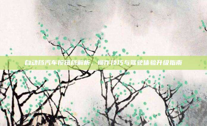 自动挡汽车按钮档解析,操作技巧与驾驶体验升级指南