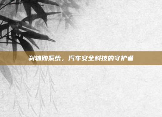 刹辅助系统,汽车安全科技的守护者