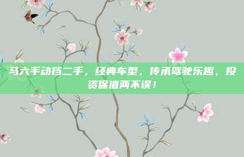 马六手动挡二手,经典车型,传承驾驶乐趣,投资保值两不误!
