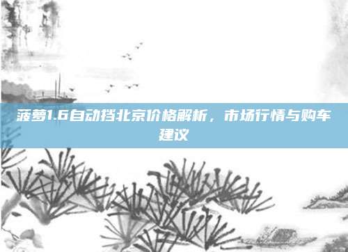 菠萝1.6自动挡北京价格解析，市场行情与购车建议