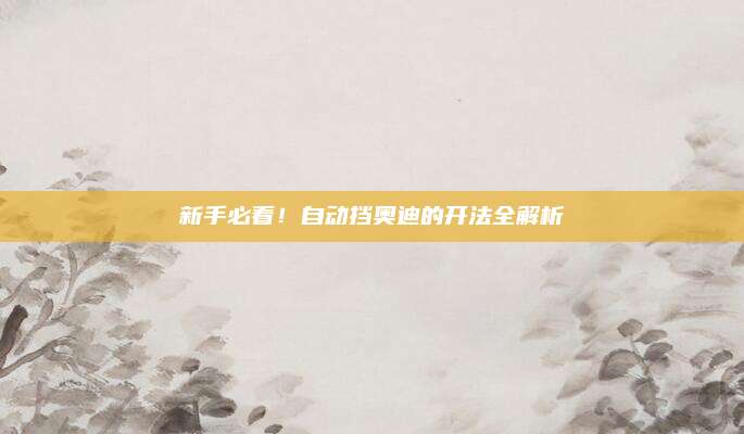 新手必看！自动挡奥迪的开法全解析