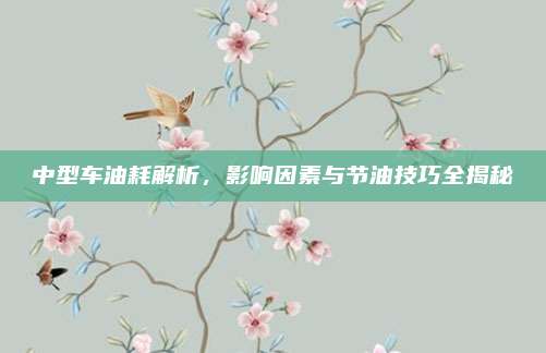 中型车油耗解析，影响因素与节油技巧全揭秘