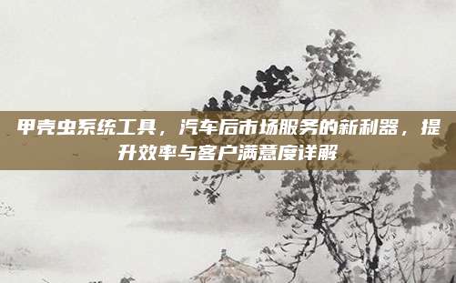 甲壳虫系统工具,汽车后市场服务的新利器,提升效率与客户满意度详解