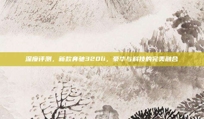 深度评测,新款奔驰320li,豪华与科技的完美融合