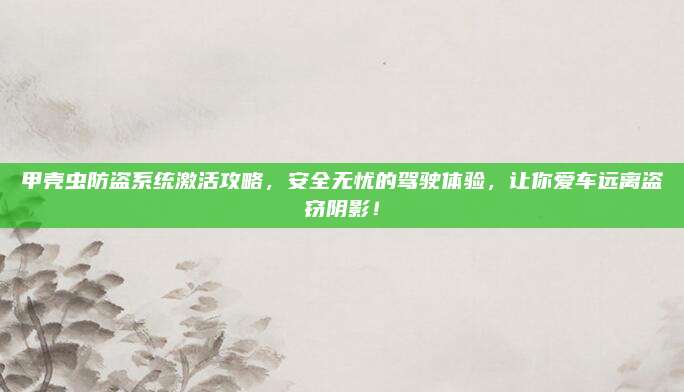甲壳虫防盗系统激活攻略,安全无忧的驾驶体验,让你爱车远离盗窃阴影!