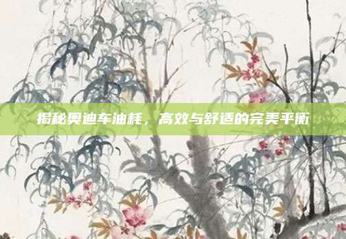 揭秘奥迪车油耗,高效与舒适的完美平衡