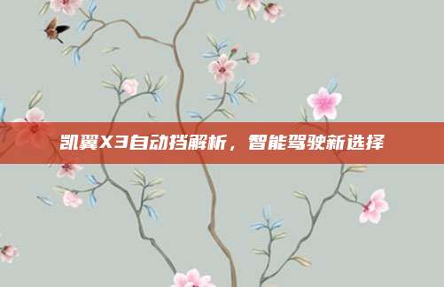 凯翼X3自动挡解析,智能驾驶新选择