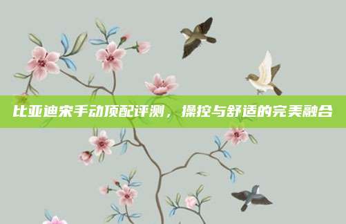 比亚迪宋手动顶配评测，操控与舒适的完美融合