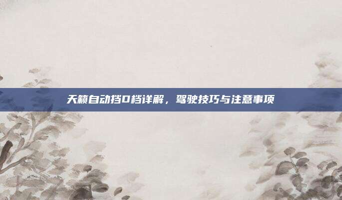 天籁自动挡D档详解,驾驶技巧与注意事项