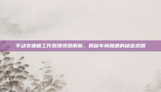 手动变速箱工作原理视频解析,揭秘车辆加速的秘密武器