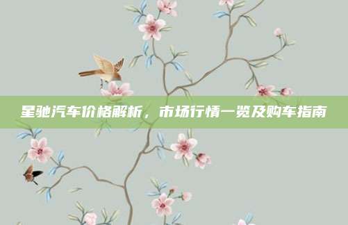 星驰汽车价格解析，市场行情一览及购车指南