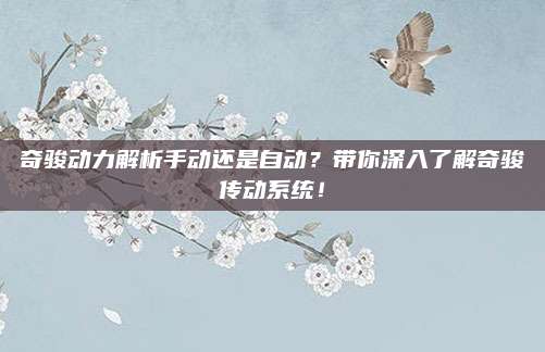 奇骏动力解析手动还是自动?带你深入了解奇骏传动系统!