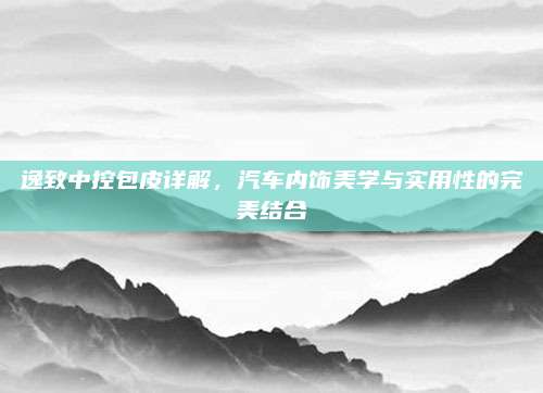 逸致中控包皮详解,汽车内饰美学与实用性的完美结合