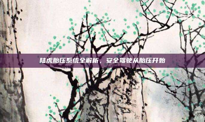 陆虎胎压系统全解析,安全驾驶从胎压开始