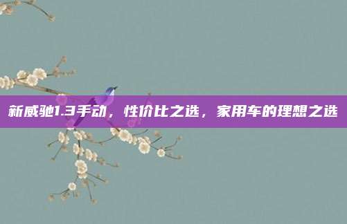新威驰1.3手动,性价比之选,家用车的理想之选