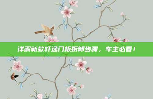详解新款轩逸门板拆卸步骤,车主必看!