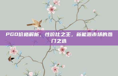 PGO价格解析，性价比之王，新能源市场的热门之选