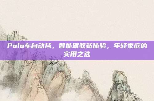 Polo车自动挡，智能驾驭新体验，年轻家庭的实用之选