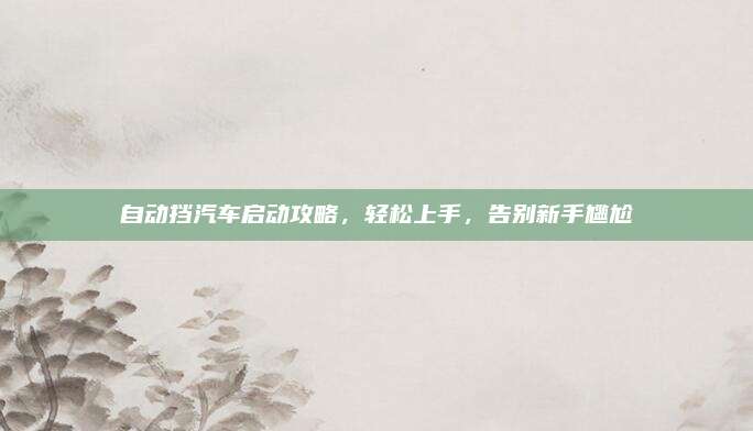 自动挡汽车启动攻略,轻松上手,告别新手尴尬