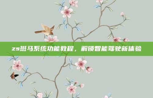 zs斑马系统功能教程,解锁智能驾驶新体验
