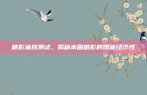 皓影油耗测试,揭秘本田皓影的燃油经济性