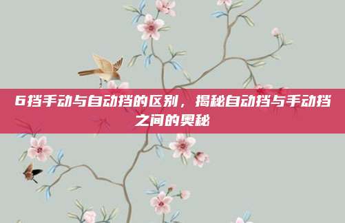 6挡手动与自动挡的区别,揭秘自动挡与手动挡之间的奥秘