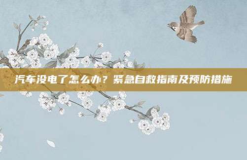 汽车没电了怎么办？紧急自救指南及预防措施