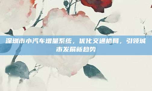 深圳市小汽车增量系统,优化交通格局,引领城市发展新趋势
