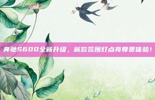 奔驰S600全新升级，新款氛围灯点亮尊贵体验！