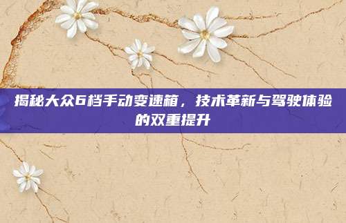 揭秘大众6档手动变速箱,技术革新与驾驶体验的双重提升